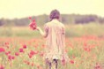 /album/galerie-photos/flowers-jpg/